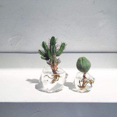 乐乐捕鱼官方网站